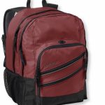 ll bean backpacks