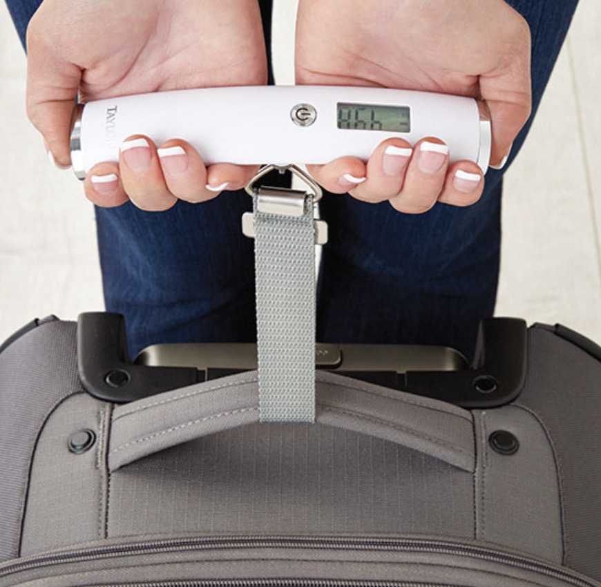 luggage weight scale